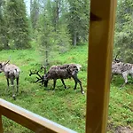 Hébergement de vacances Logwood Luosto