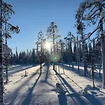 Hébergement de vacances Logwood *