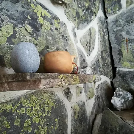 Casa vacanze Logwood *