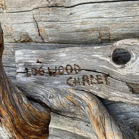 Logwood *