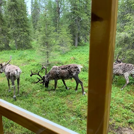 Ferienhaus Logwood Luosto