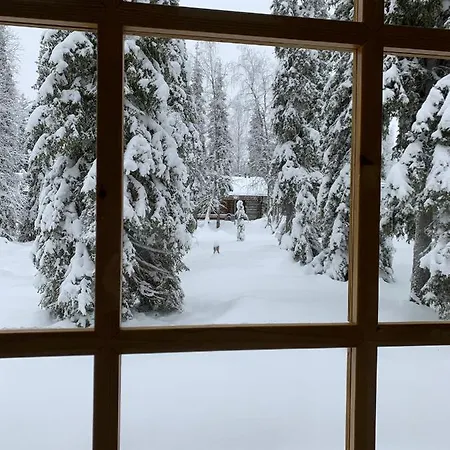 Casa vacanze Logwood Luosto