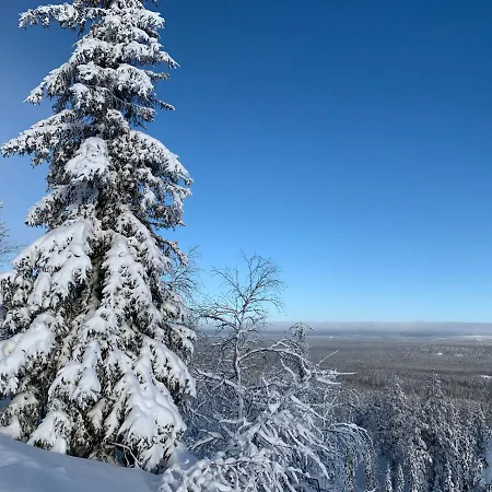 Logwood Ferienhaus Luosto