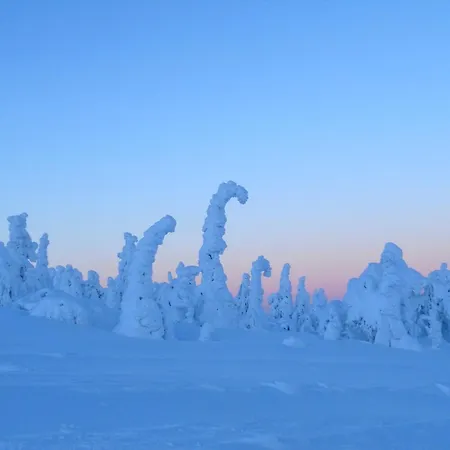 Logwood Casa vacanze