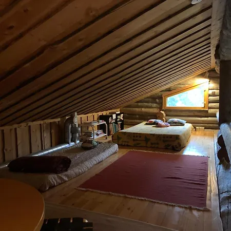 Ferienhaus Logwood Luosto