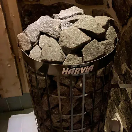 Logwood Ferienhaus *