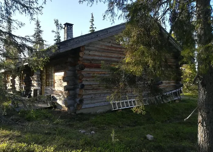 Dom wakacyjny Logwood Luosto