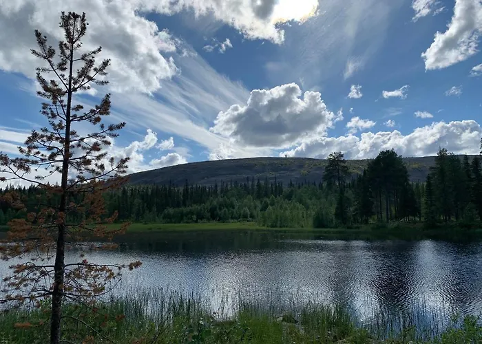 Logwood Dom wakacyjny Luosto