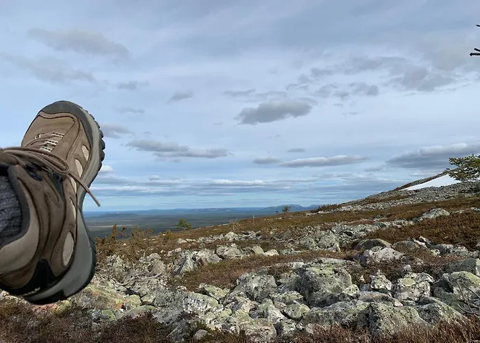 Dom wakacyjny Logwood *