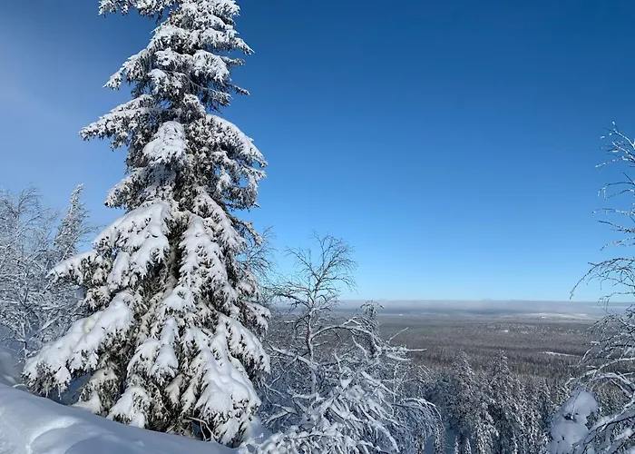 Logwood Dom wakacyjny Luosto