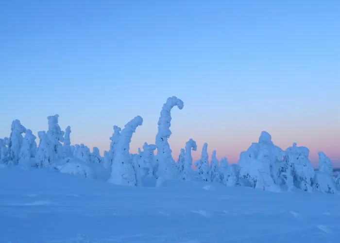 Logwood Dom wakacyjny